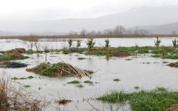 permbytje shkoder